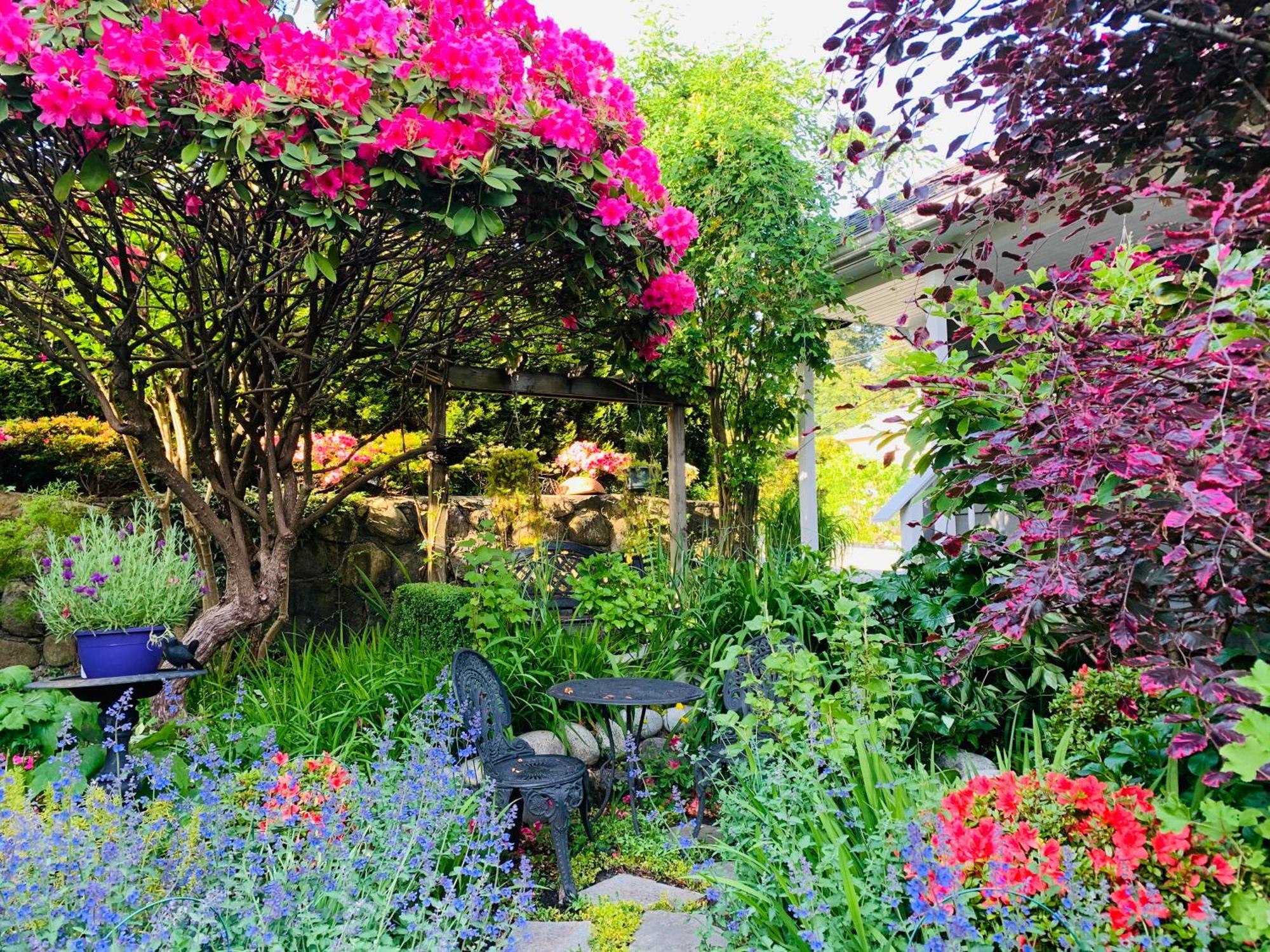 Crystal'S View Bed & Breakfast Βόρειο Βανκούβερ Εξωτερικό φωτογραφία